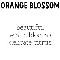 RTS Whipped Cream Body Butter Tube