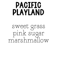 RTS Conditioning Hair & Beard Oil 1 oz