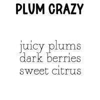 RTS Cleansing Sugar Scrub Large