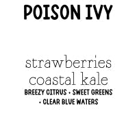 RTS Cleansing Sugar Body Scrub Small