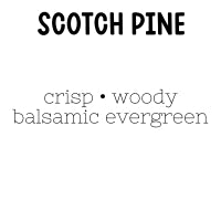 RTS Carpet & Room Refresher