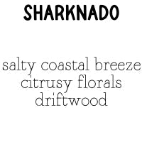 RTS 2-pack Wax Melt Tarts