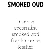 RTS Conditioning Hair & Beard Oil 1 oz