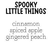 RTS 2-pack Wax Melts