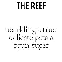 RTS Cleansing Sugar Scrub Large