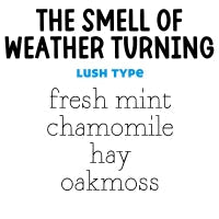 RTS 6-pack Wax Melt Tarts