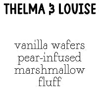 RTS 2-pack Wax Melt Tarts