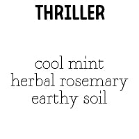 RTS 2-pack Wax Melt Tarts