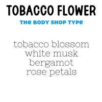 RTS 2-pack Wax Melts