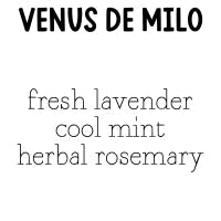 RTS 2-pack Wax Melts