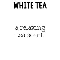 RTS Perfume Mist Mini