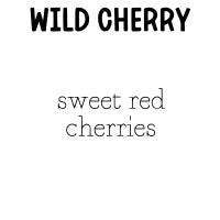 RTS 6-pack Wax Melts