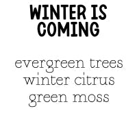 RTS 2-pack Wax Melt Tarts