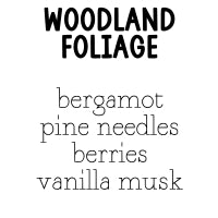 RTS 6-pack Wax Melts