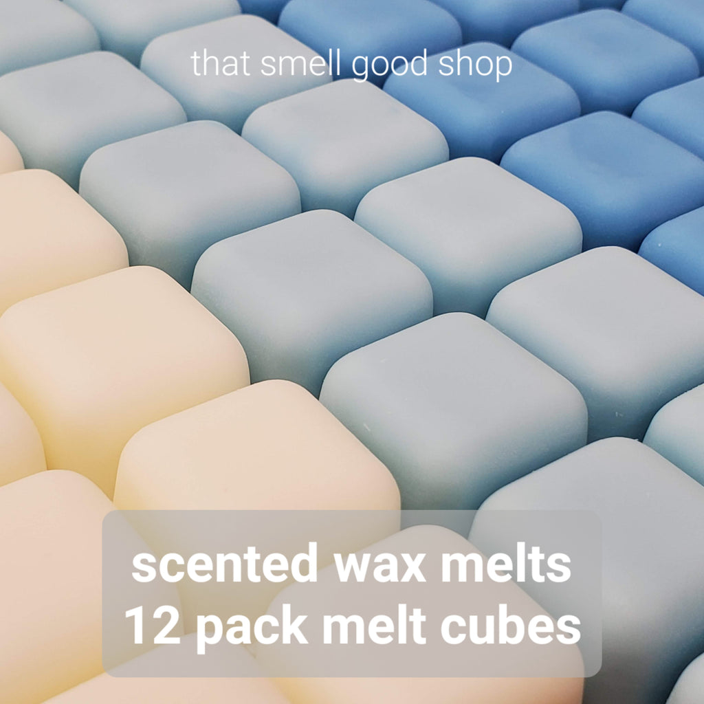 Well Hung - Fireplace Scented Wax Melt Cubes - 1 Pack - 2 Ounces - 6 Cubes
